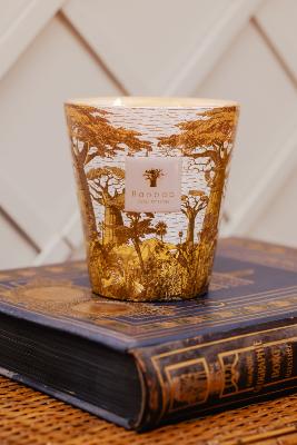  SACRED TREES BOUNKANI - Bougie Max10 / BAOBAB Collection