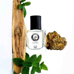 Perfume 50 ml - MUSHUSSU Babylonia / FiiLit