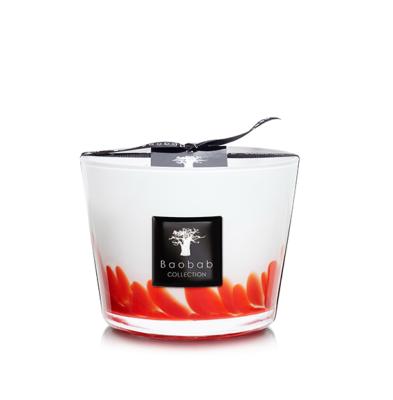FEATHERS MASAAI - Candle Max 10 / BAOBAB Collection