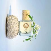 Perfume 50 ml - SURYA Bali / FiiLit
